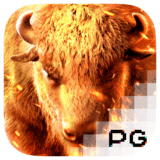 Gambar Voucher Game Slot PG Soft & Pragmatic Play Buffalo Win