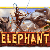 Gambar Klaim Dan Dapatkan Bonus Voucher Game Slot Playstar, Pragmatic Play Dan PG Soft Elephant