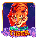 Tabel Harga Agen Top Up Game Slot Sugar Rush, Sweet Bonanza, Wild Bandito, Dan Zeus Wild Wild Tiger